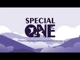 SPECIAL ONE