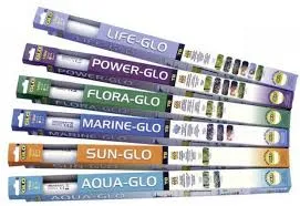 GLO