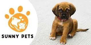 SunnyPets