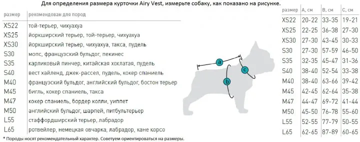 2062 Жилет голубий XS 25