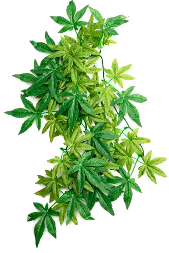Штучна рослина Repti-Zoo Velvetleaf TP003 (RZ-TP003)