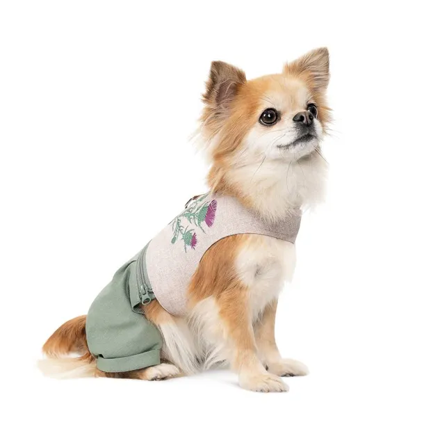 Шлей-костюм Pet Fashion Patrik S