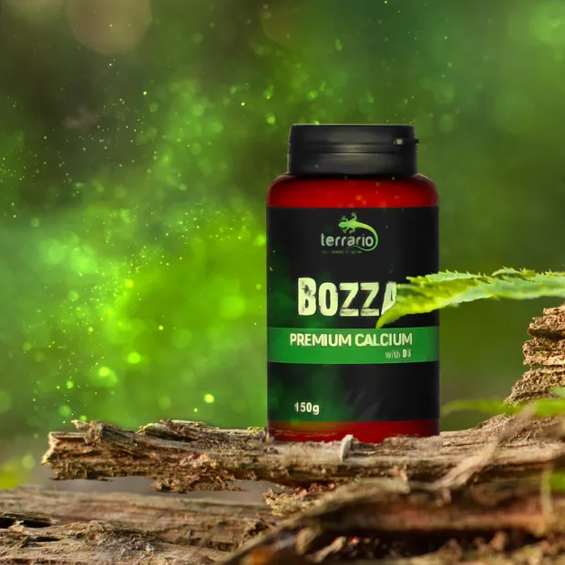 Кальцій з вітаміном D3 для рептилій Terrario Bozza Calcium with D3 150г