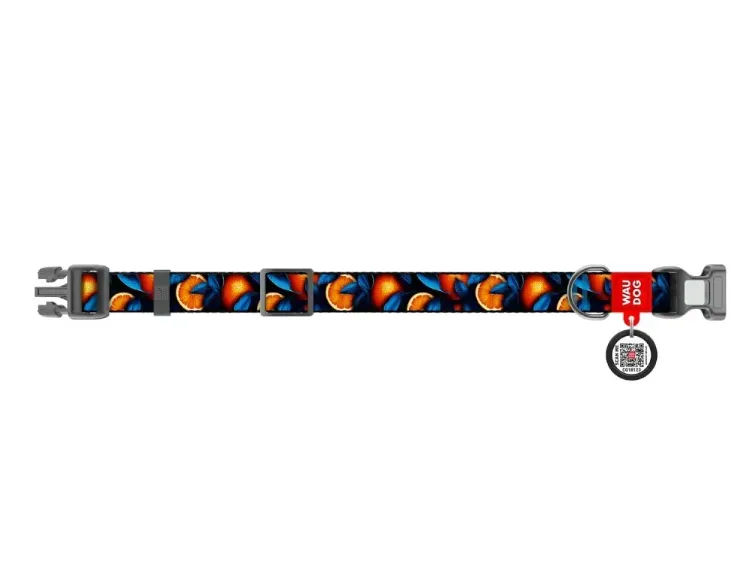 283-4054 Нашийник WAUDOG Nylon з QR паспортом, малюнок "Апельсин", пласт. фастекс XL Ш 25мм Д 37-58см