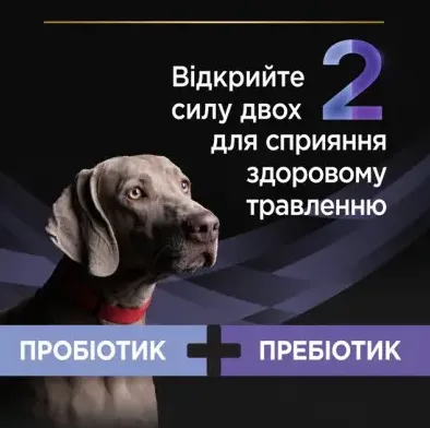 ProPlan Fortiflora Пробіотик+пребіотик для підтримки мікрофлори собак та цуценят 2г