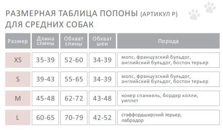 Толстовка Dream розмір 4 Y-199/4