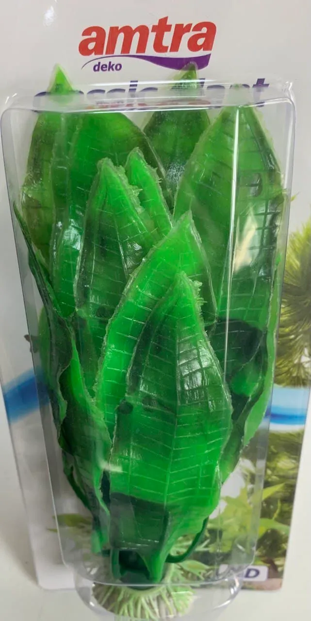 8011172 Рослина ECHINODORUS, штучна, 17см