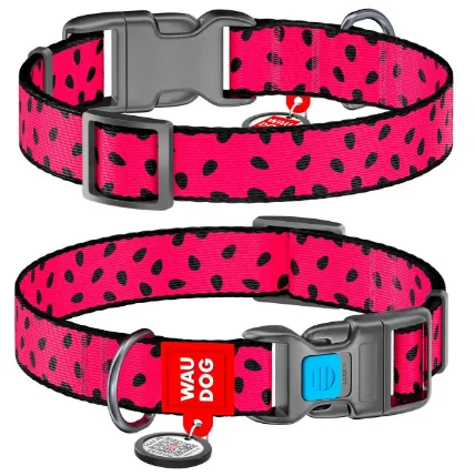 5269Нашийник WauDog Nylon з малюнком "Кавун"(шир.10мм. 20-30см)