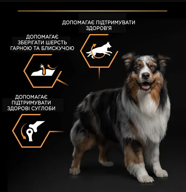 ProPlan Adult Medium для соб. середніх порід з куркою 1кг