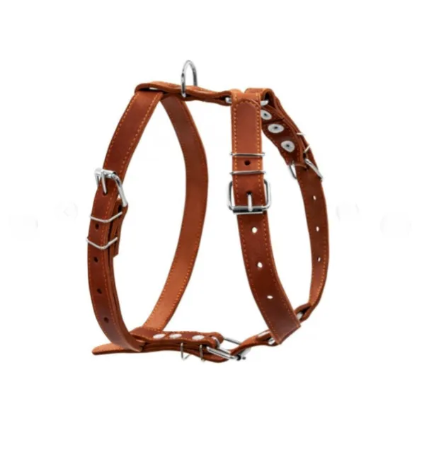 06386 Шлея "CoLLaR" одинарна для середніх собак Ш 25мм, А:49-68см, В:68-80см коричнева