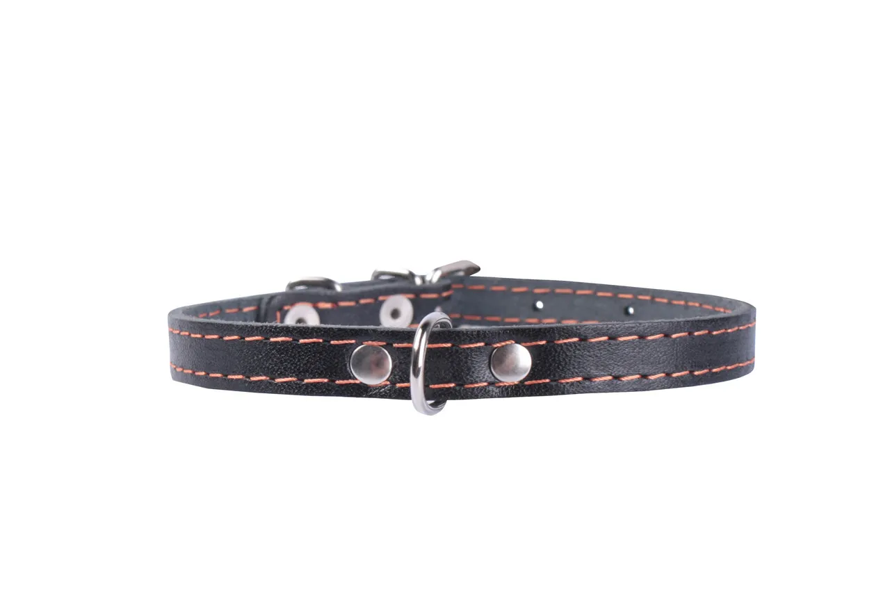CoLLaR нашийник одинарний (чорний), W 10 мм, L 22-30 см