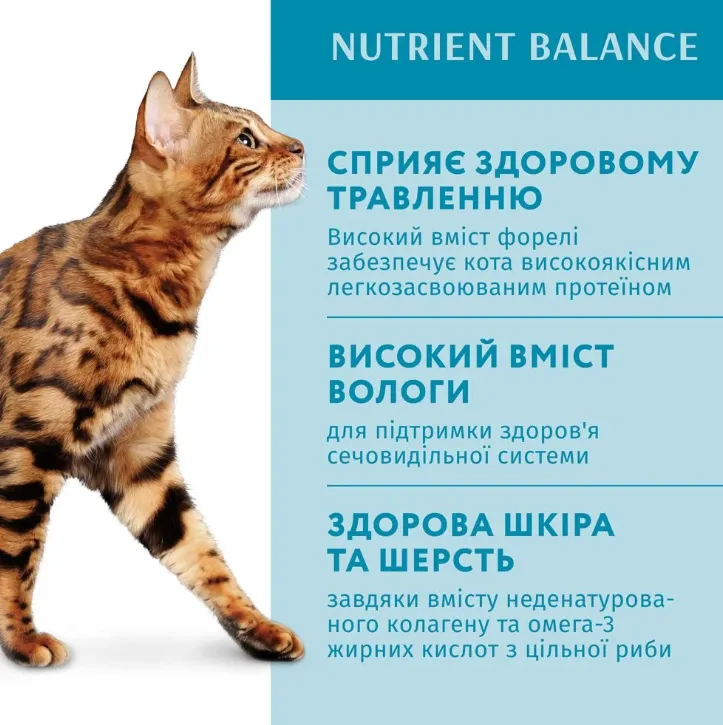 Optimeal+ пауч 85г для котів форель в кремовому соусі