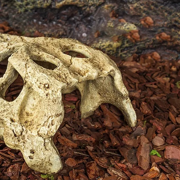 Декоративне укриття Крокодилячий череп Repti-Zoo Crocodile Skull M ERS34S 11*6*4см