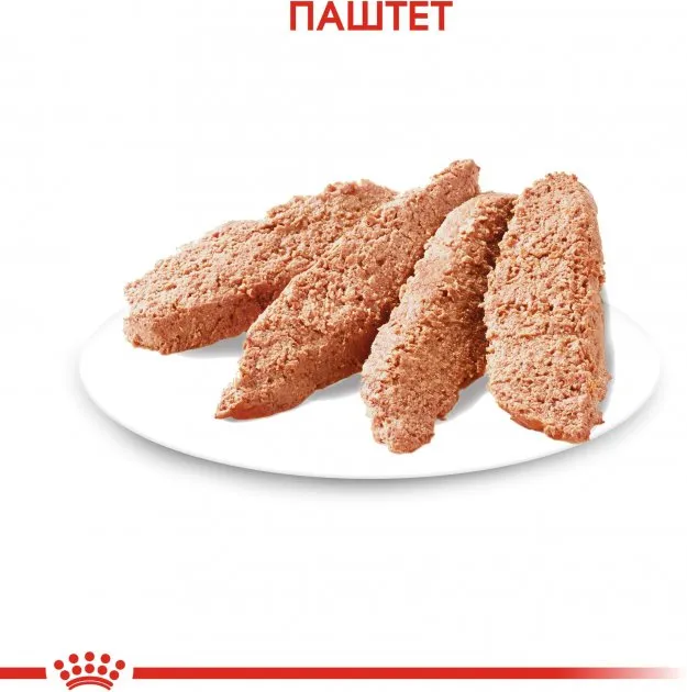 Royal Canin, Dermacomfort LOAF Dog 0.085кг