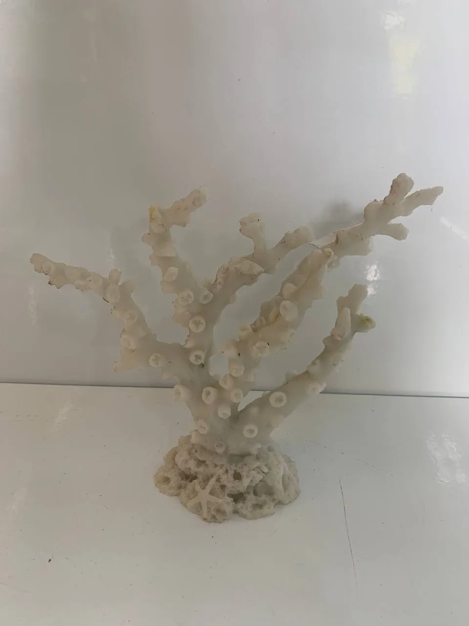 Корал 18*6*15см білий 1432W