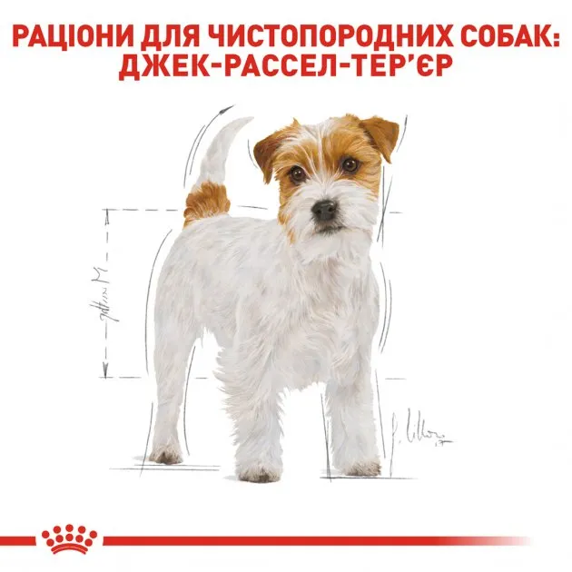 Royal Canin, Jack Russel Terrier Adult, для дорослих собак від 10 міс. 500 г