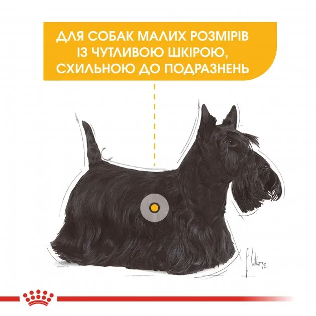 Royal Canin, Mini Dermaсomfort, 3кг