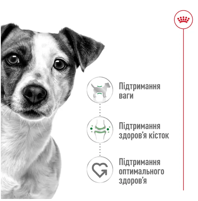 Royal Canin, Mini Adult 0.085кг