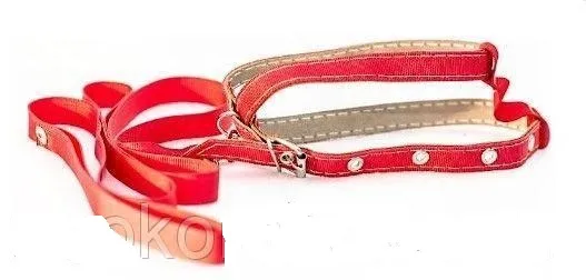 CoLLaR шлея капронова з повідцем (червона), W 14 мм, L 130 см