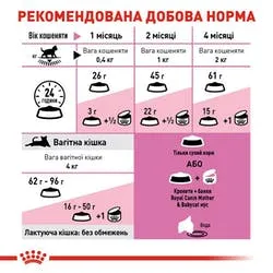 Royal Canin, Mother&Babycat для кішок та кошенят, 1 кг