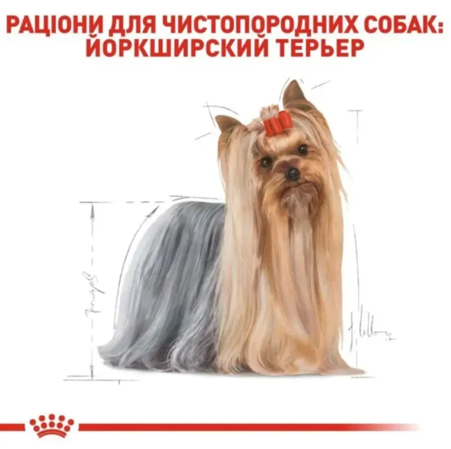 Royal Canin, Yorkshire Terrier Adult 0.5кг