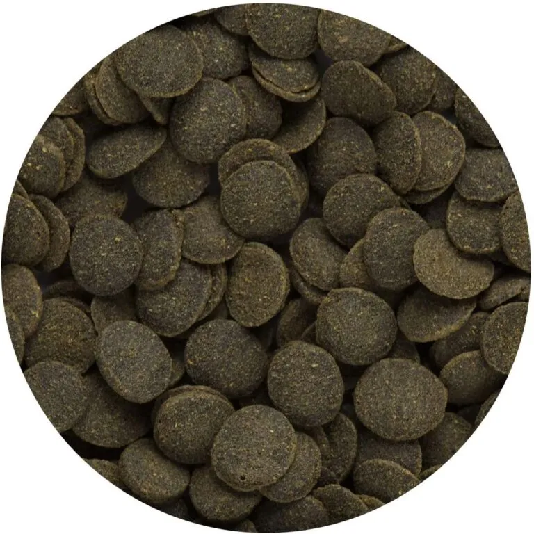 Hikari Tropical Mini Algae Wafers 85g 21416