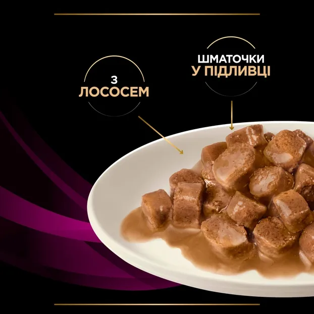 PPVD Фелін УР Шу П (UR URINARY) Лосось для котів 85г