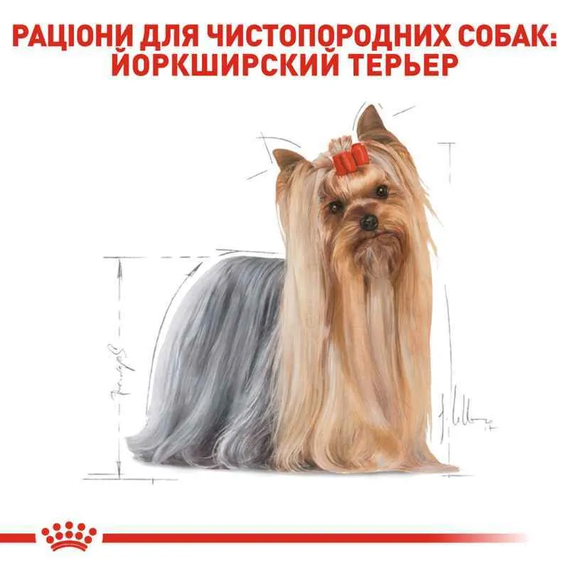 Royal Canin, Yorkshire Terrier Adult 1.2+300кг