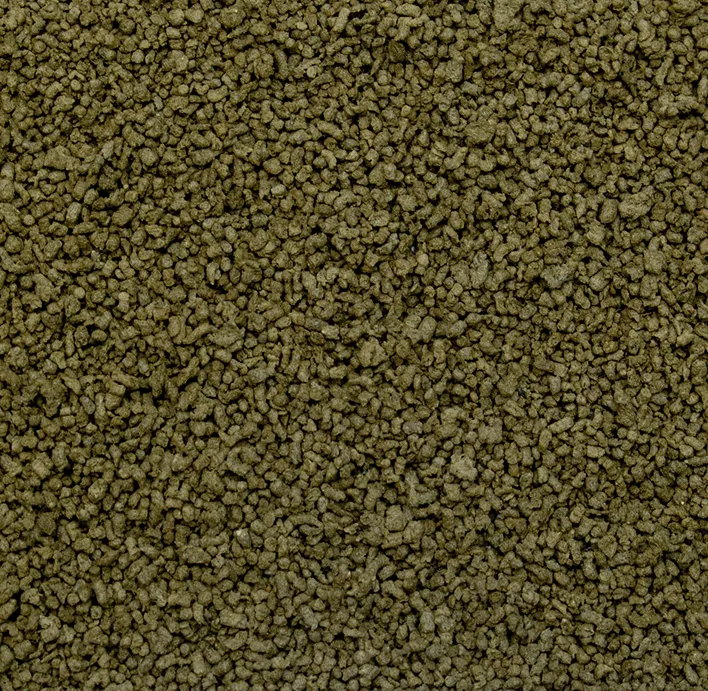 SPIRULINA GRANULAT 0,1кг