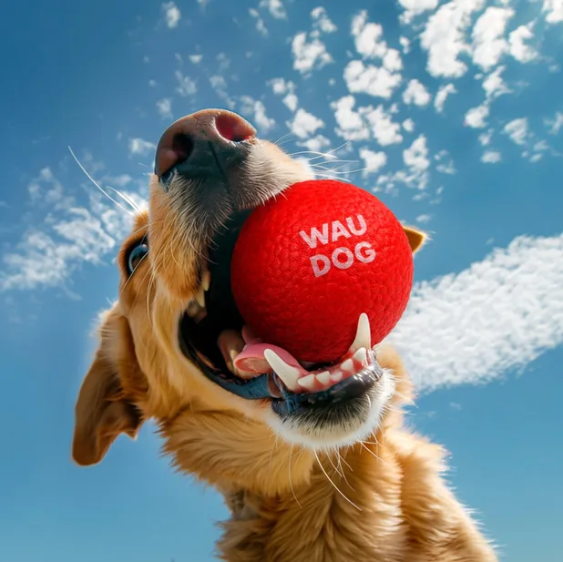 6001 Іграшка для собак WAUDOG Fun Red Ball спінений термопластичний поліуретан 70мм