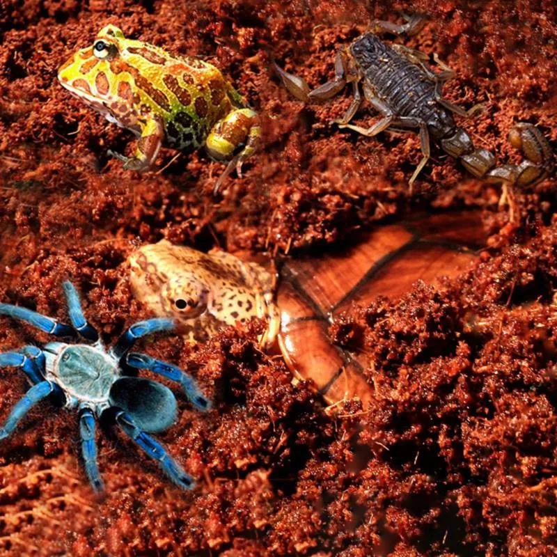 Субстрат тропічний Komodo Tropical Terrain 6л (U46015)