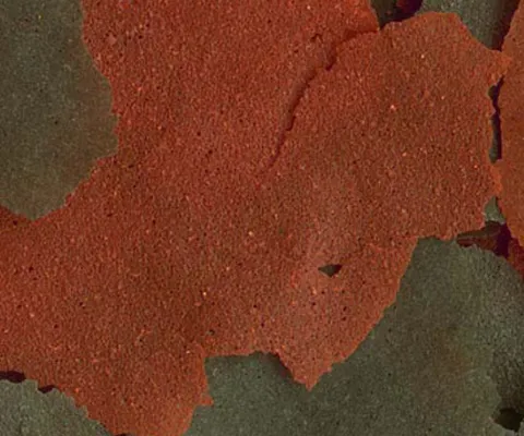 Tetra Cichlid Flakes XL 10л/1.9кг 0.1кг 201415
