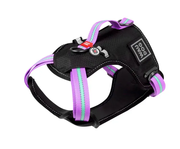 52499 Шлея безпечна WAUDOG Nylon с QR-паспортом, металічна пряжка-фастекс М, Ш 20мм, Дов A 45-70см, В 60-80см фіолетова