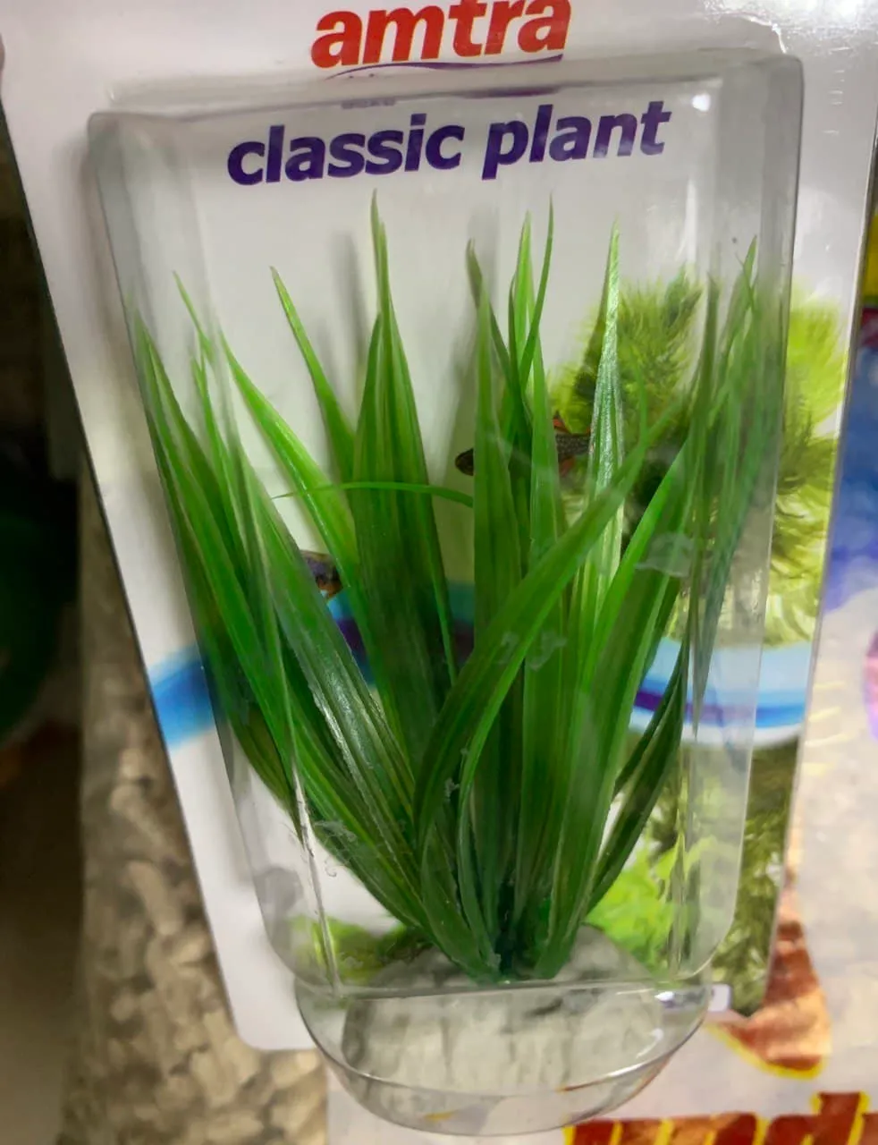 8011177 Рослина BAMBOO, штучна,13см