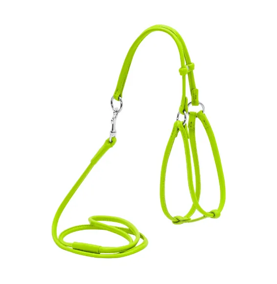 34015 Шлея кругла "CoLLaR Glamour" №1 з повід для котів та дрібн. порід собак (шир.6мм, А 27-35см, В22-30см) салатовий
