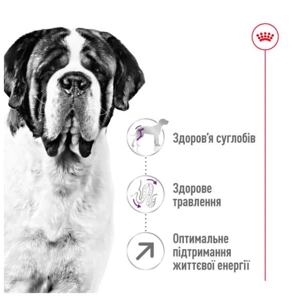 Royal Canin, Giant Adult 1кг
