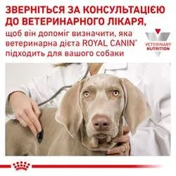 Royal Canin, Gastrointestinal Low Fat Dog 1кг
