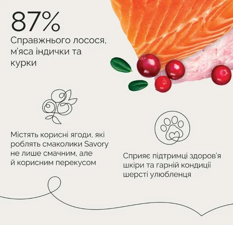 Джерки Savory Bars батончики з лососем 100г 21106