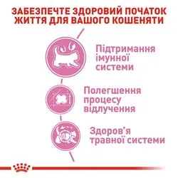 Royal Canin, Mother&Babycat для кішок та кошенят, 1 кг