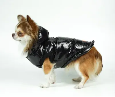 Жилет лакований чорний 8 G-52/8