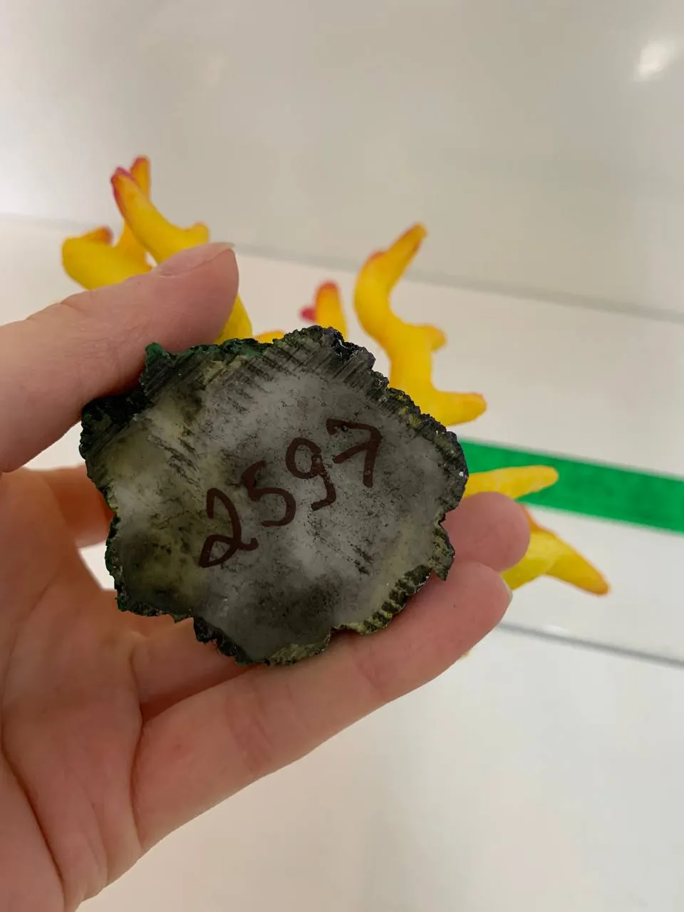Рибка міні 10*6*7см 1503D