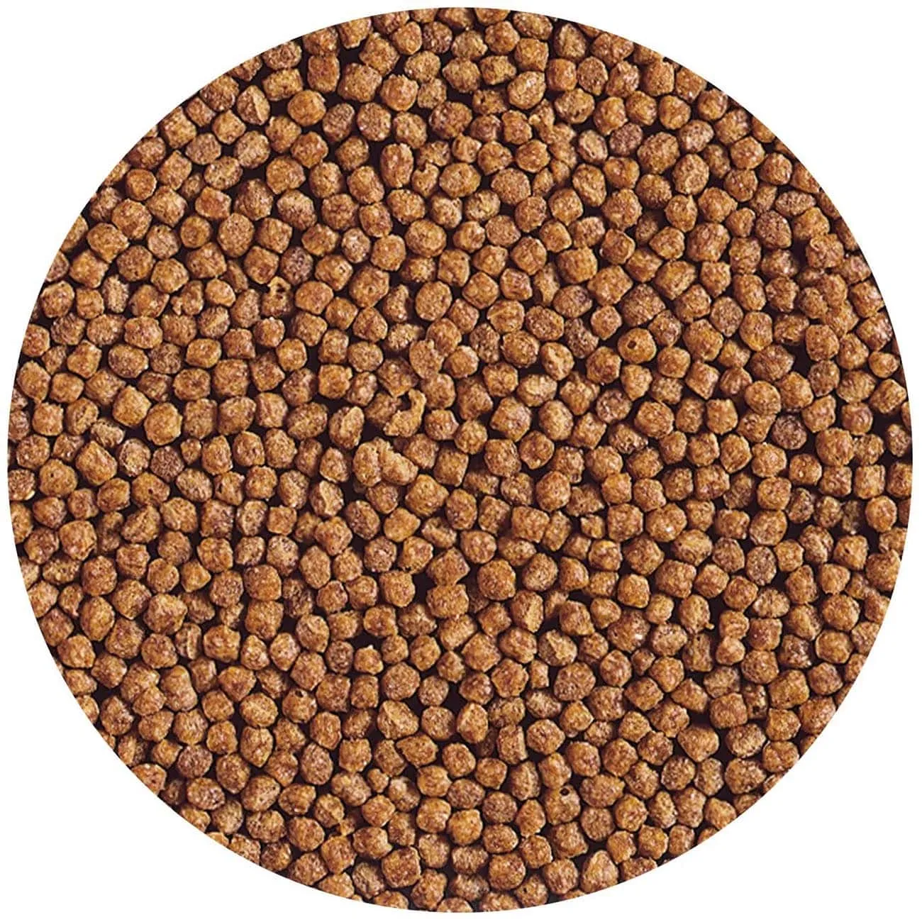 Hikari Goldfish Gold Baby Pellet 100g 02120