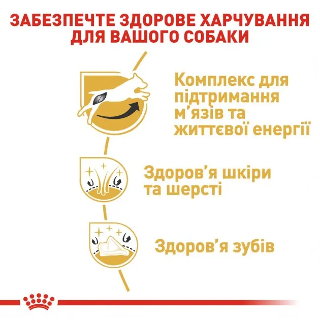 Royal Canin, Jack Russel Terrier Adult, для дорослих собак від 10 міс. 500 г
