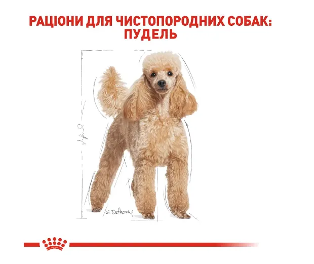 Royal Canin, Poodle Adult 0.5кг