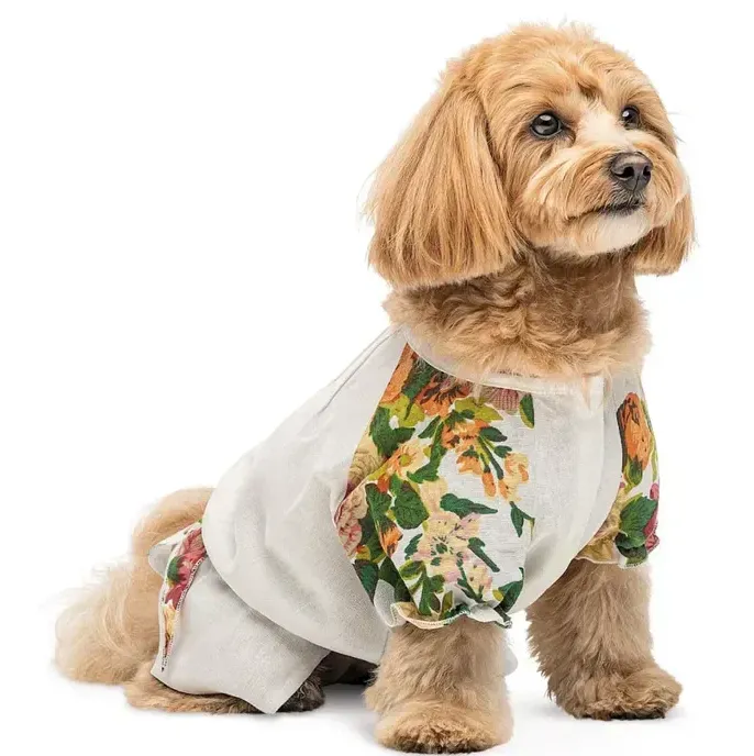 Сорочка Pet Fashion Соломія для собак дівчинка S Бежева