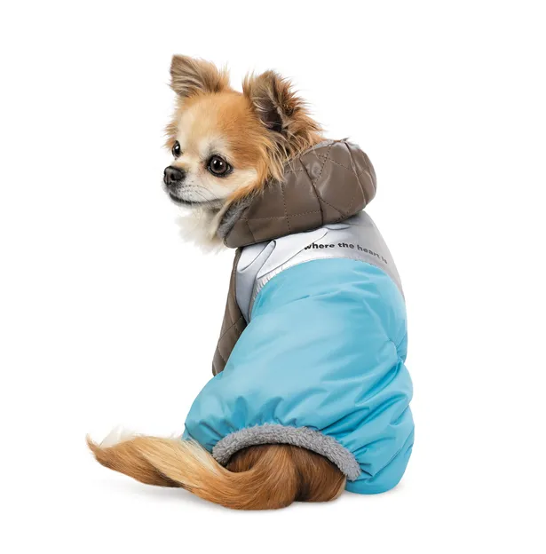 Комбінезон Pet Fashion Сharlie S для собак Різнокольоровий