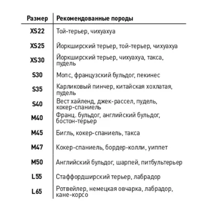 Курточка двостороння AiryVest, розмір S35,Чорно-блакитна