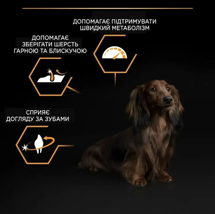 ProPlan Adult Small&Mini з куркою для соб. малих порід 1кг