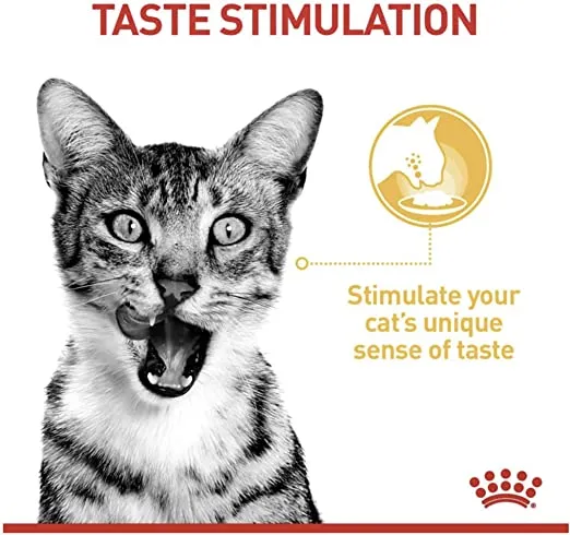 Royal Canin, Sensory Feel, желе 0.085кг