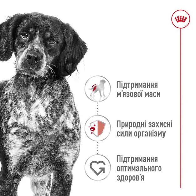 Royal Canin, Medium Adult 3.2+800кг